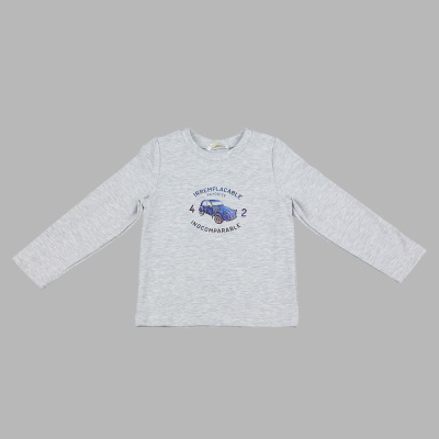 Лонгслив Favorite Чуди Кидс 547225Ц2 серый 01